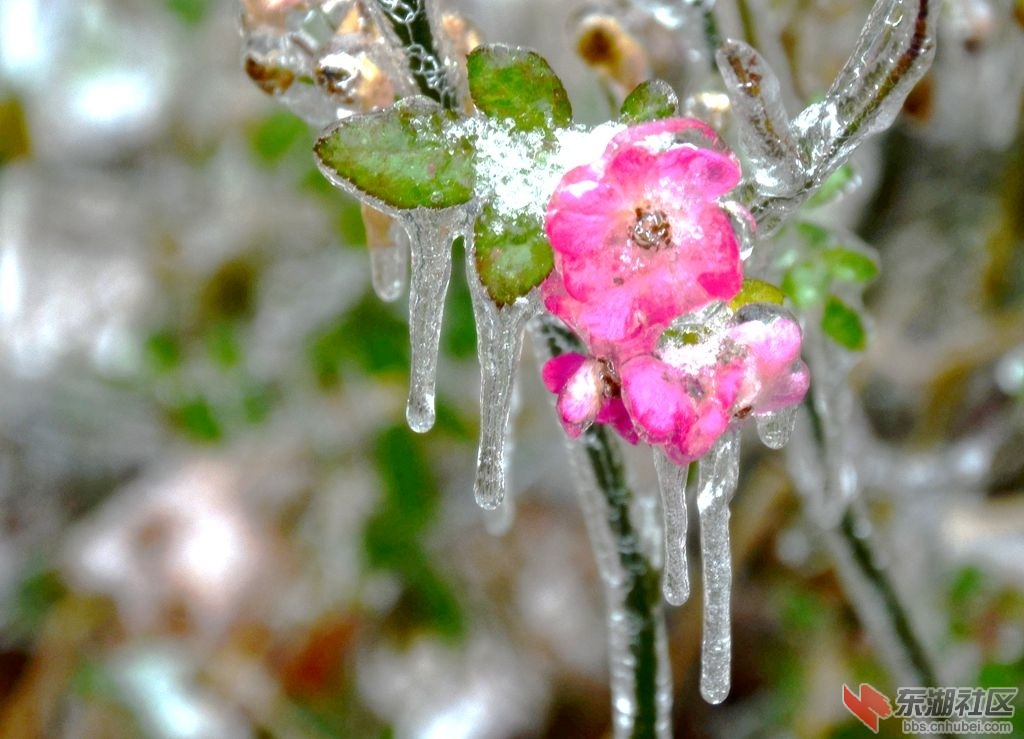 DSC_2902.jpg