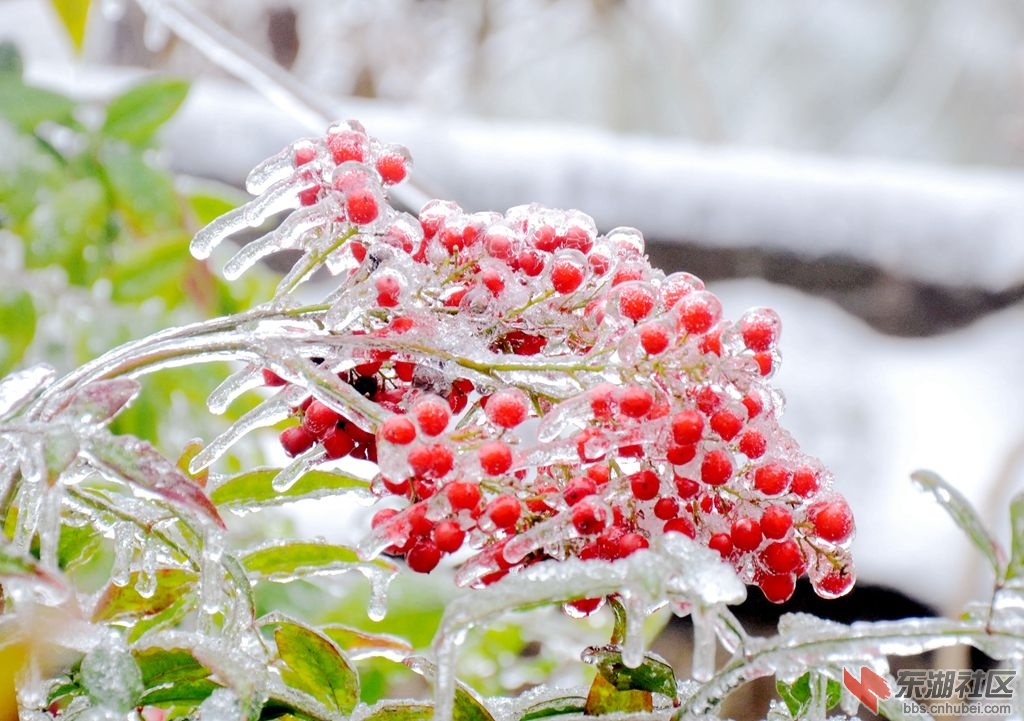 DSC_3107.jpg