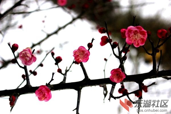 照片 022_副本.jpg
