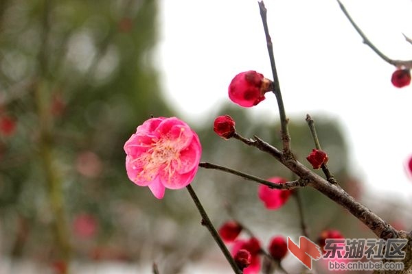 照片 023_副本.jpg