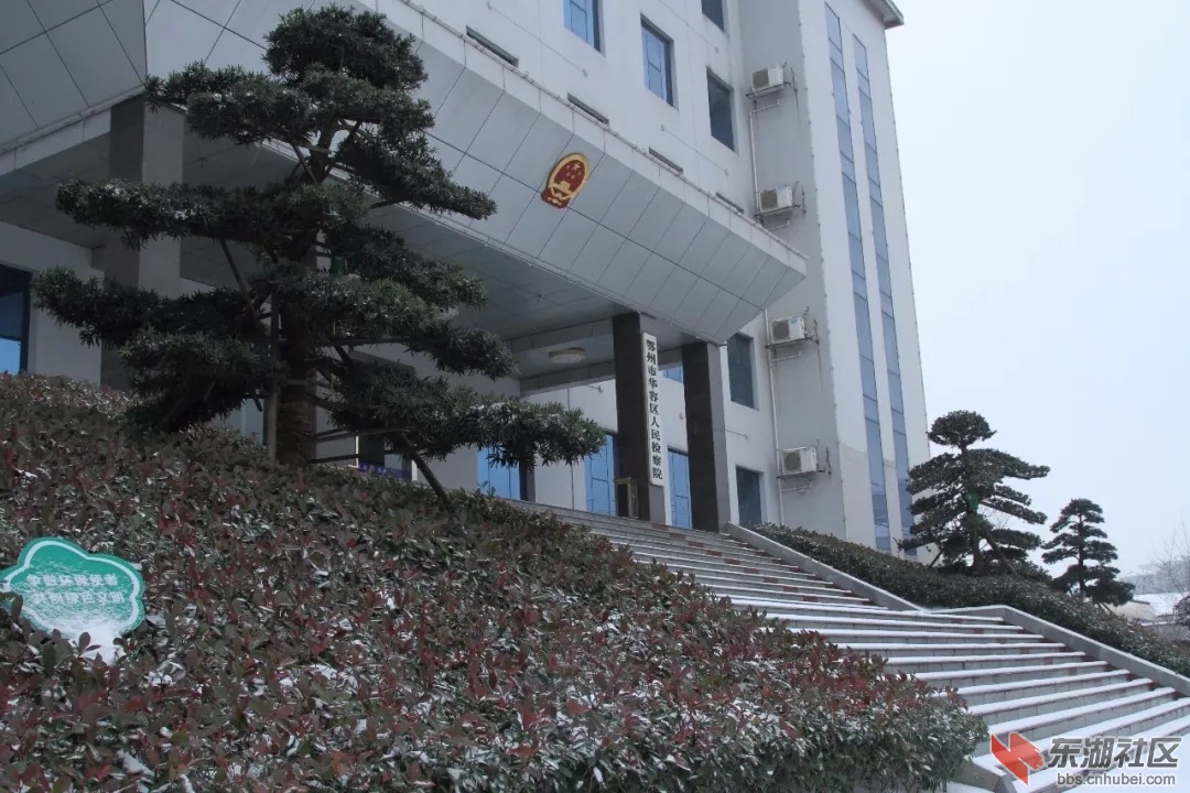 傲雪青松.jpg