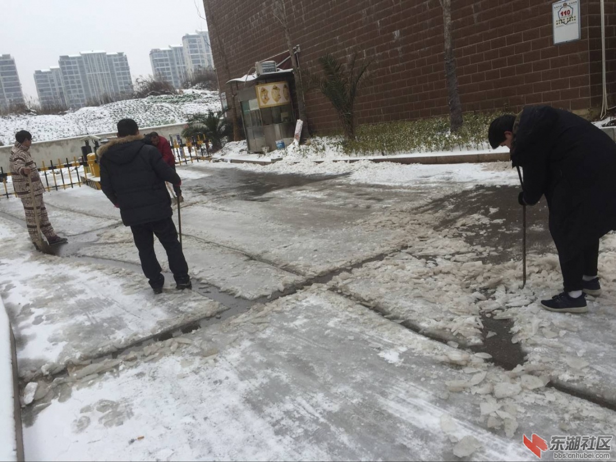 小区居民共扫门前雪5.jpg