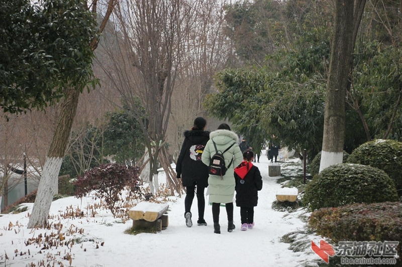 IMG_0878_爱奇艺_副本.jpg