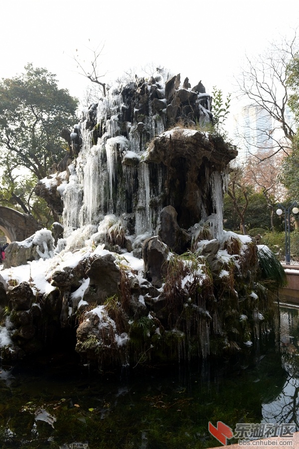 复件 DSC_3621.JPG