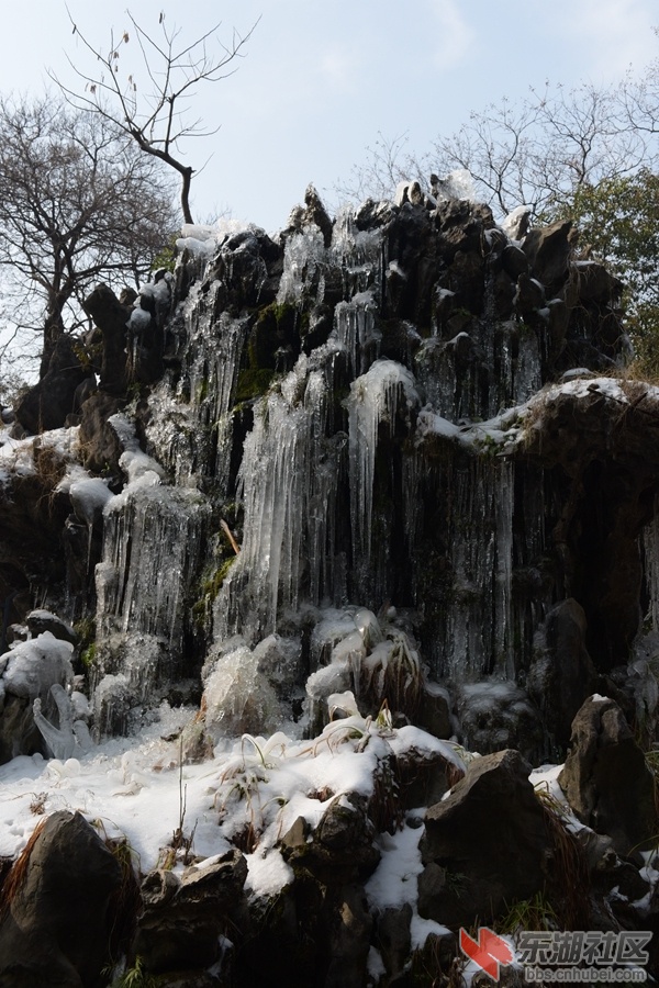 复件 DSC_3632.JPG