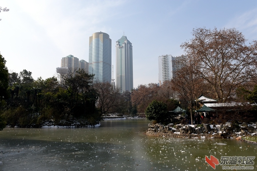 复件 DSC_3640.JPG
