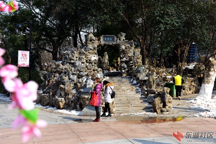 复件 DSC_3642.JPG