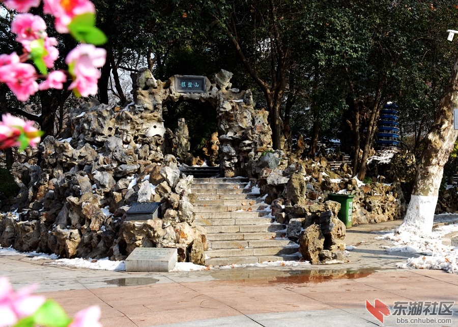 复件 DSC_3643.JPG
