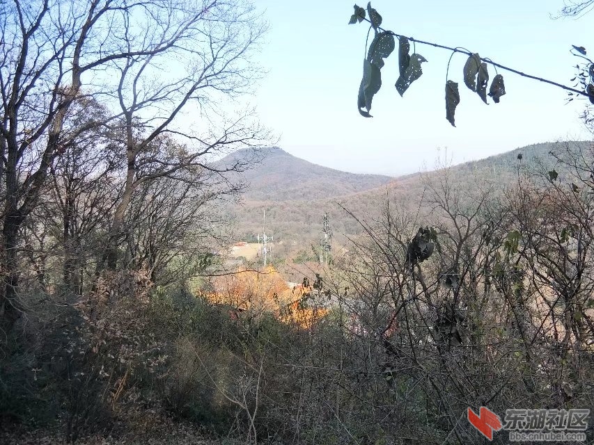 CIMG5152.jpg