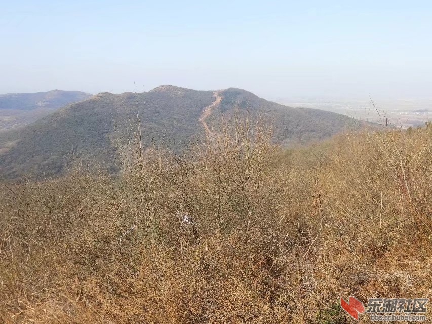 CIMG5192.jpg