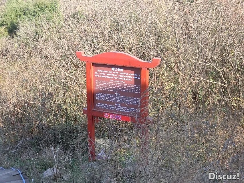 CIMG5196.jpg
