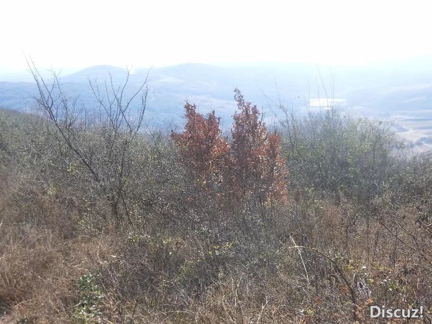 CIMG5225.jpg