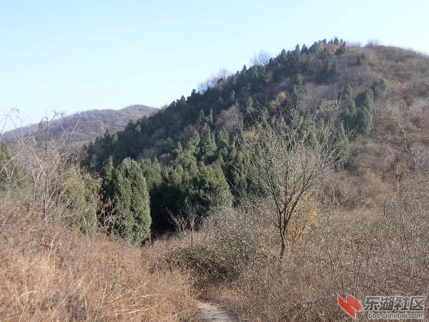 CIMG5227.jpg