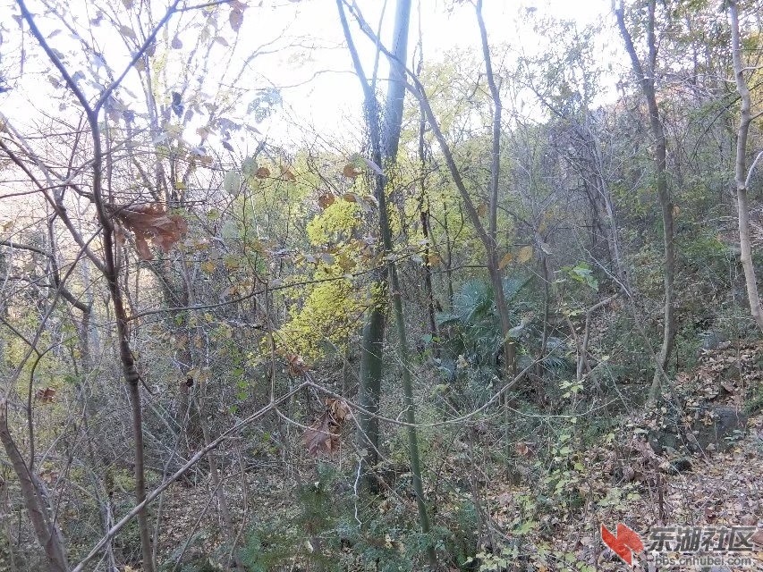 CIMG5257.jpg