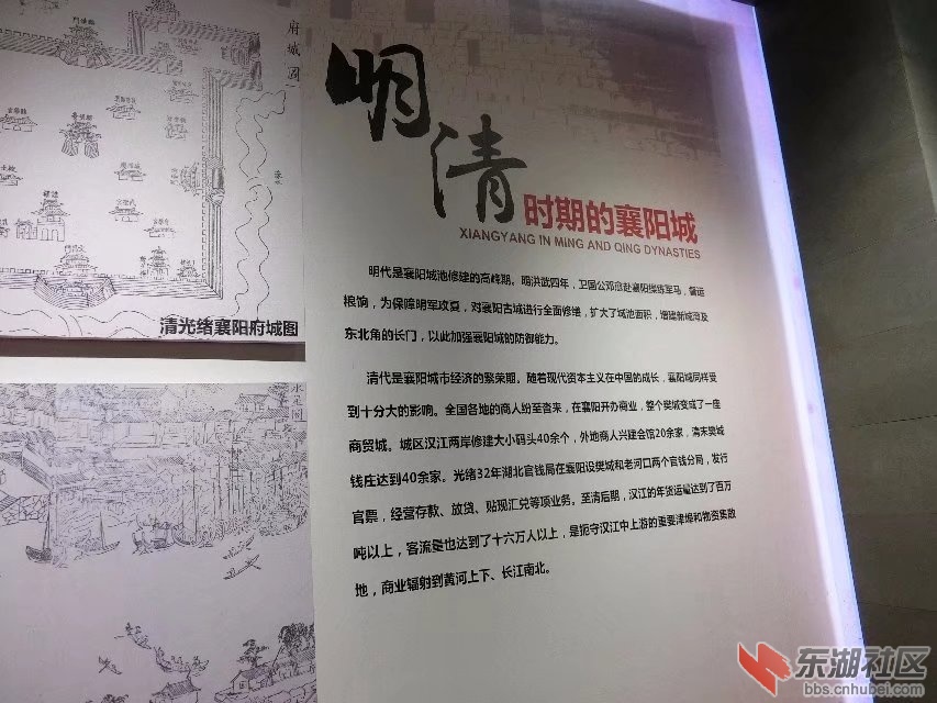 CIMG5410.jpg