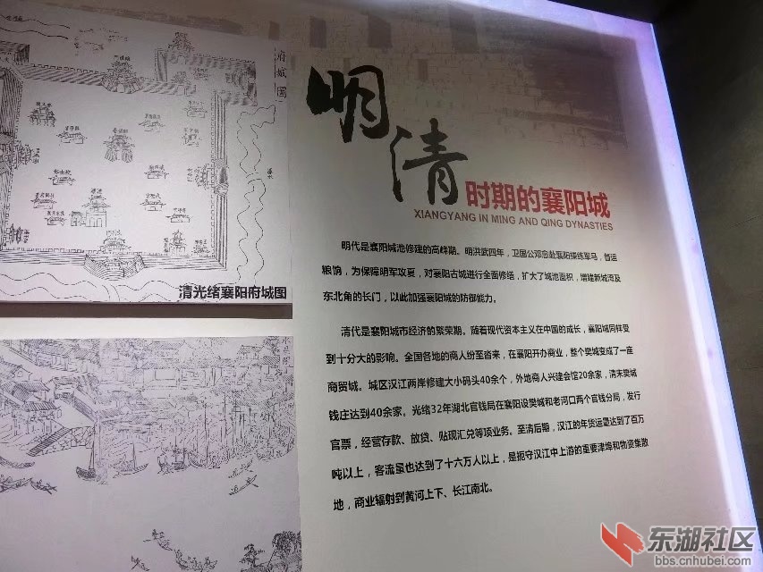 CIMG5411.jpg
