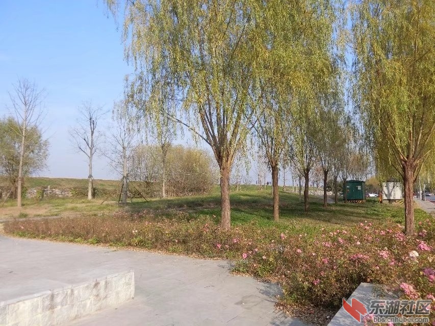 CIMG6346.jpg