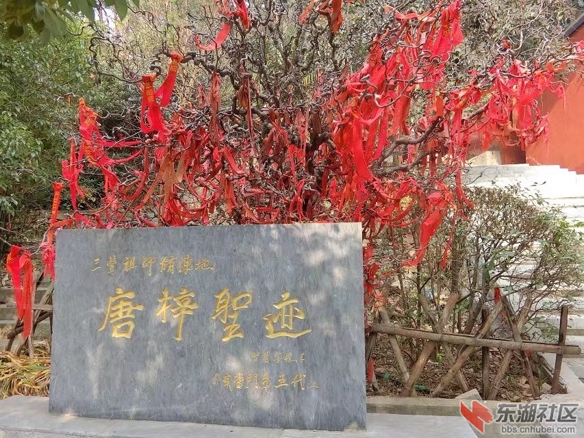CIMG6612.jpg