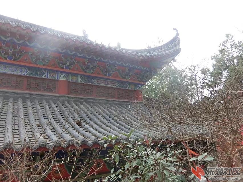 CIMG6658.jpg