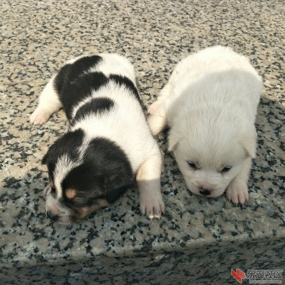 QQ图片20180220185631.jpg
