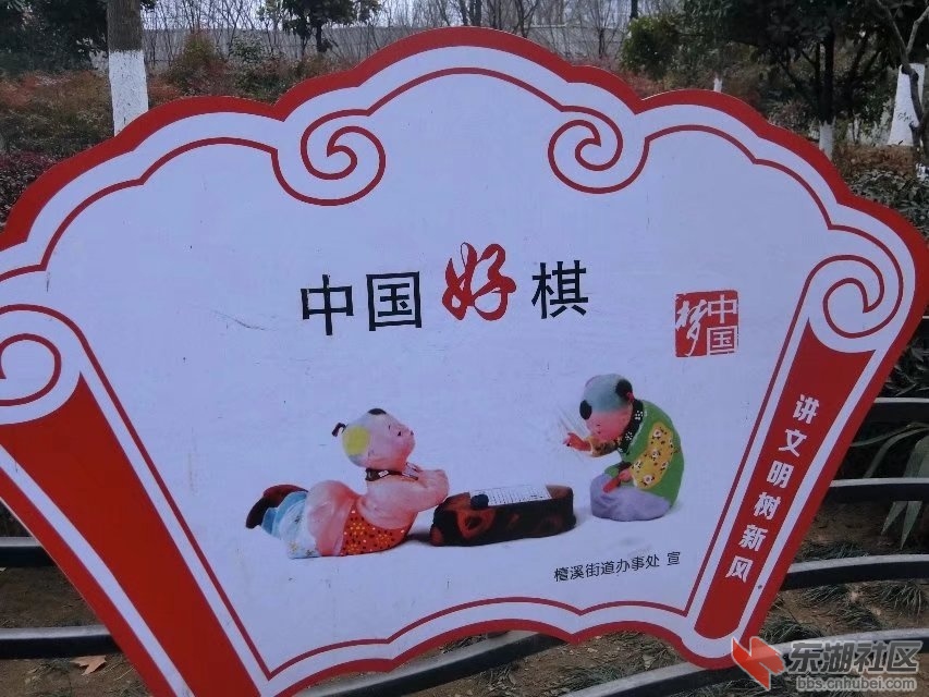 CIMG2010.jpg