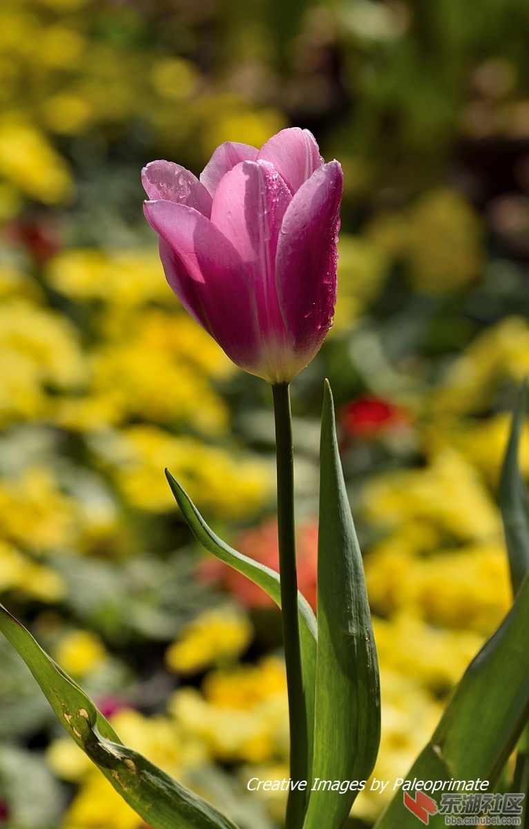 _DSC6151.jpg