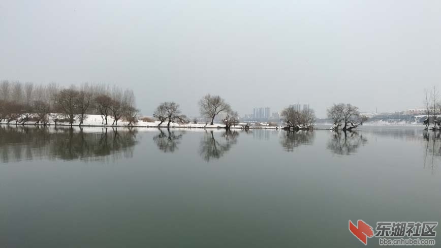 雪柳岸.jpg