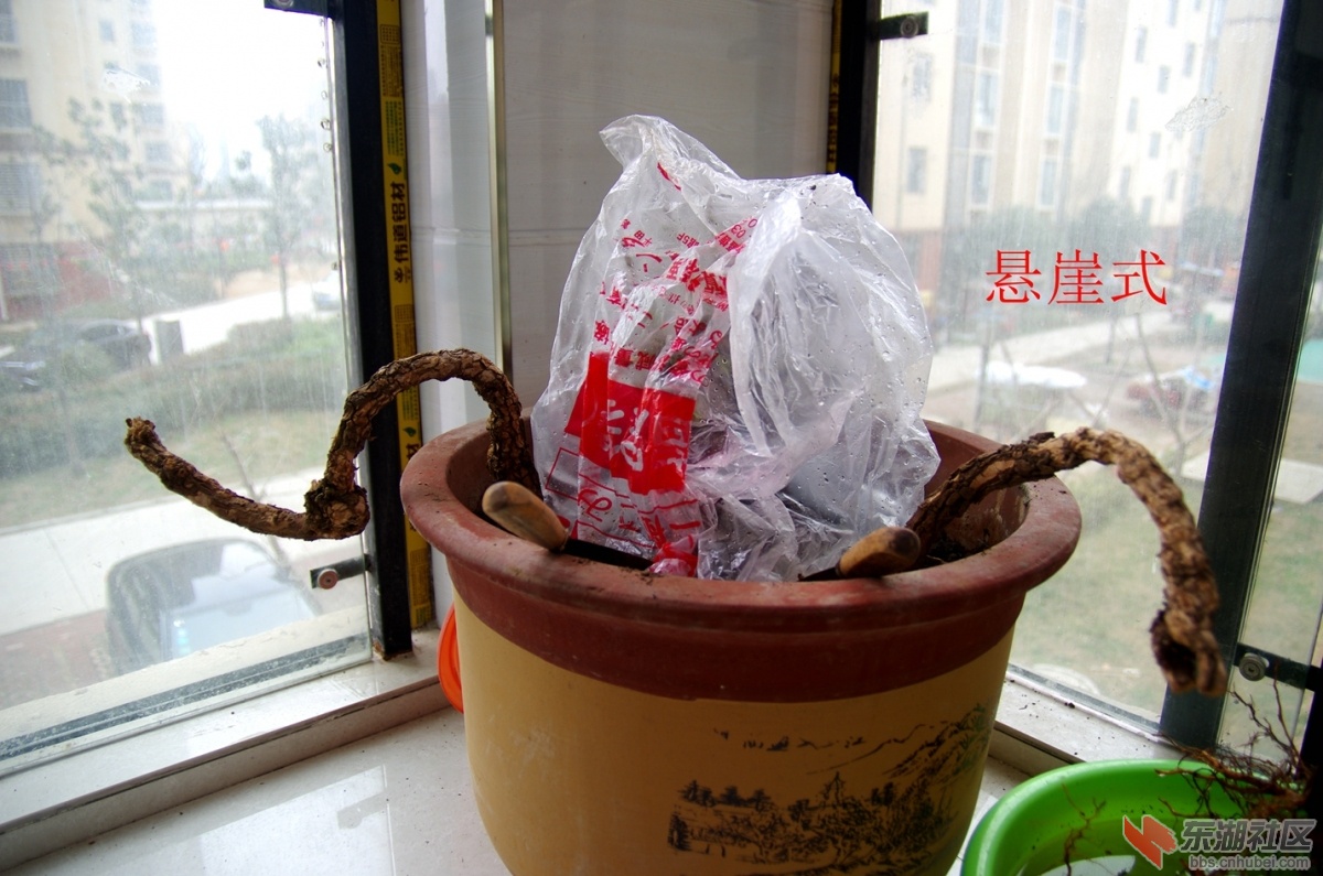 IMGP3240_副本.jpg