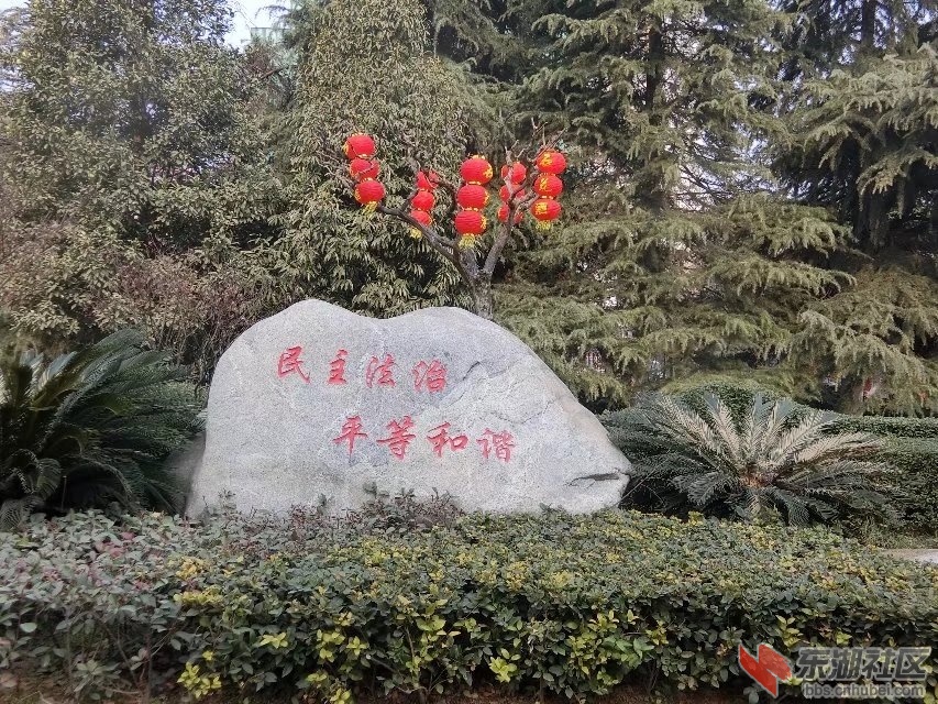 CIMG2666.jpg