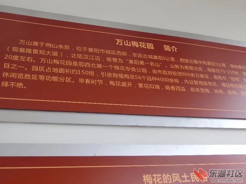 CIMG2934.jpg