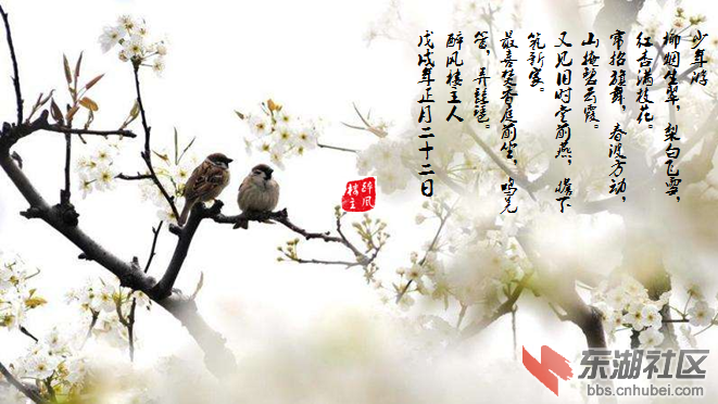 微信图片_20180309152553.png