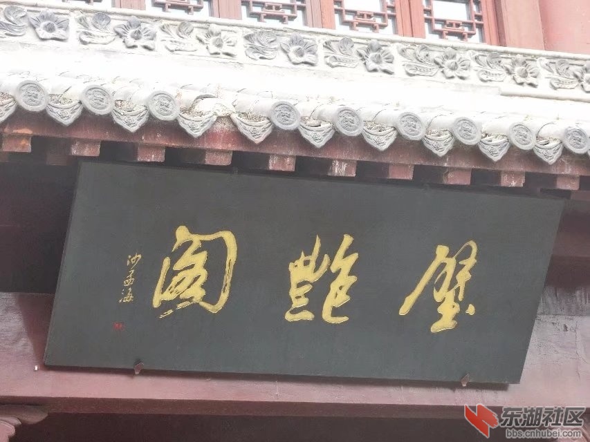 CIMG3134.jpg