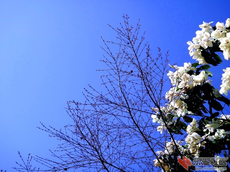 DSC05601.jpg