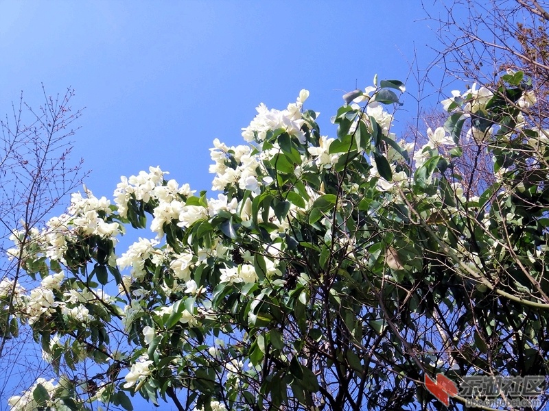 DSC05600.jpg