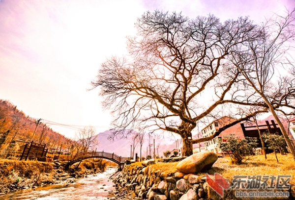 春晓 常飞.jpg
