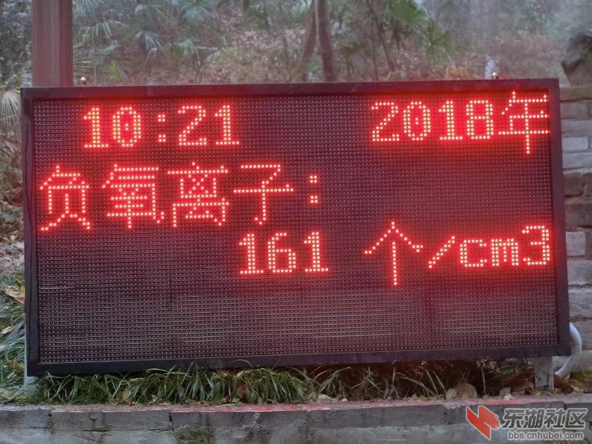 CIMG3830.jpg