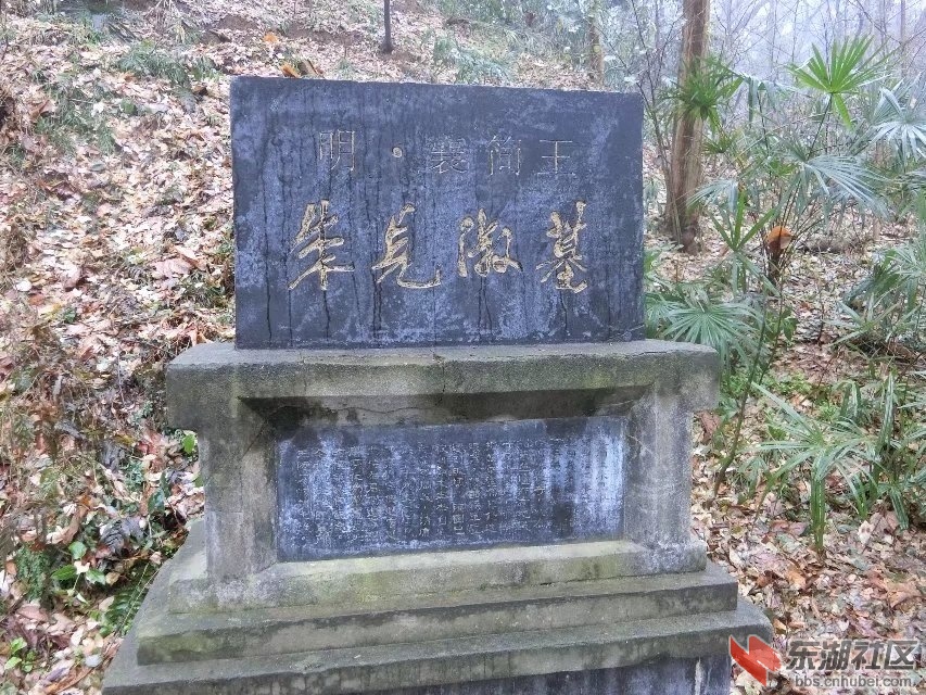 CIMG3839.jpg