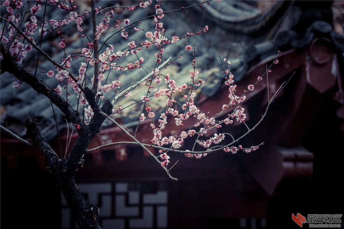 微信图片_20180224083730.jpg