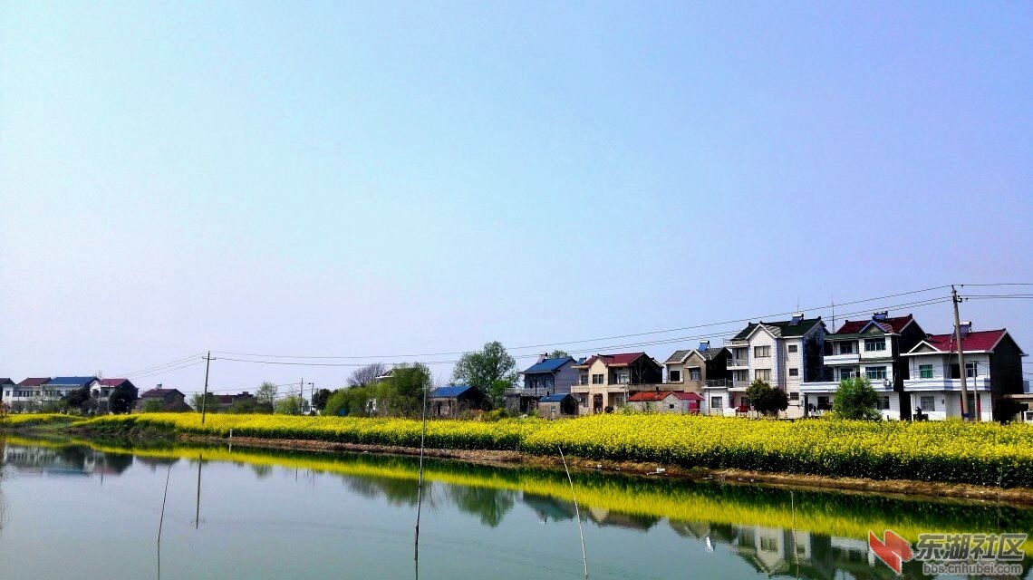 QQ图片20180327165949金保圩2.jpg