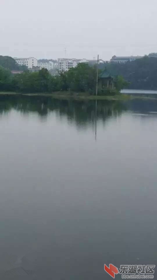 113724qdj28vuoj7d8o8zf_副本.jpg