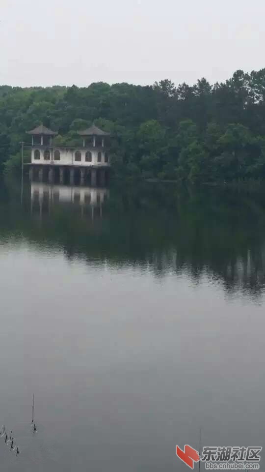 113733dkqq9mk2axhqk7hk_副本.jpg
