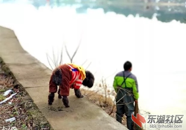 640.webp (6) - 副本.jpg