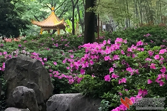 15.曾院平摄影.JPG
