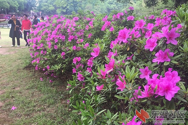 9.曾院平摄影 .jpg