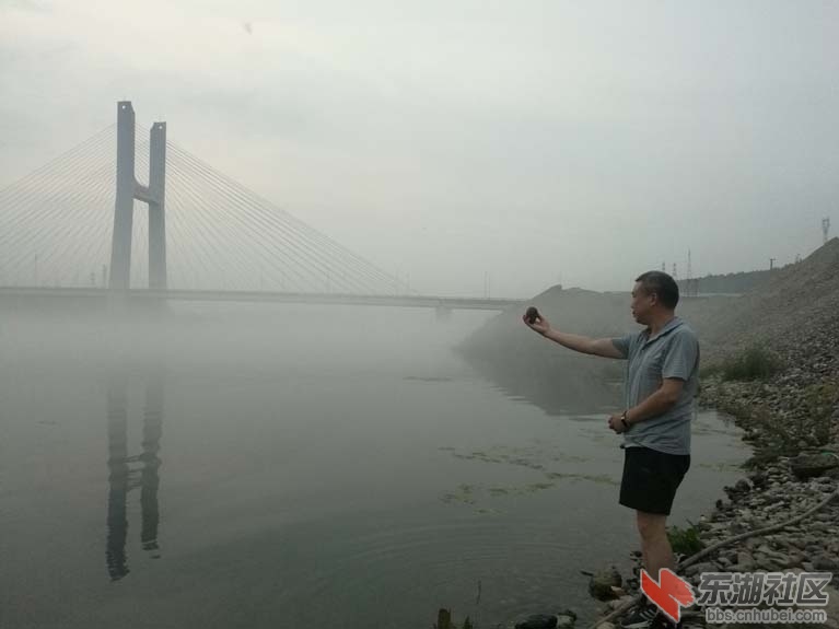 挑选.jpg