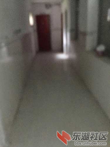 mmexport1524559003441.jpg