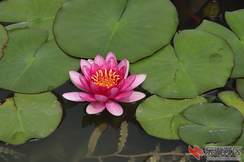 IMG_4630_爱奇艺_副本.jpg