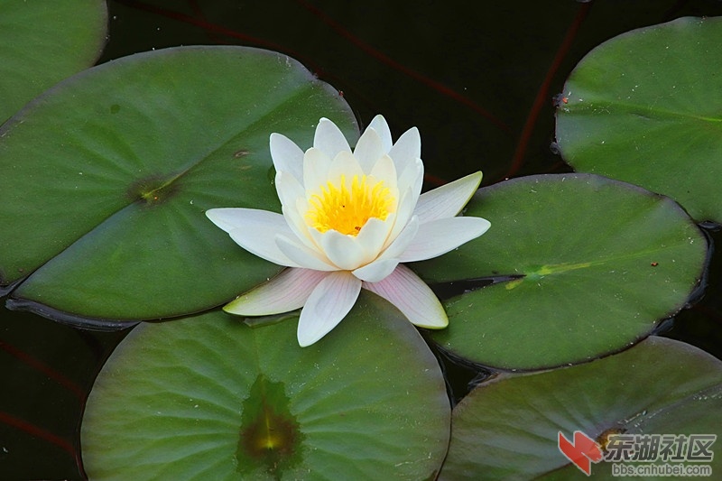 IMG_4588_爱奇艺_副本.jpg