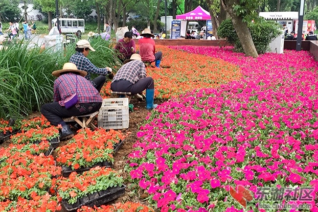 11.曾院平摄影.JPG
