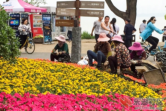 3.曾院平摄影.JPG